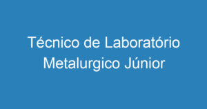 Técnico de Laboratório Metalurgico Júnior 9