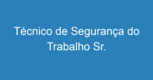 Técnico de Segurança do Trabalho Sr. 1