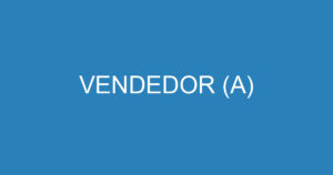 VENDEDOR (A) 13