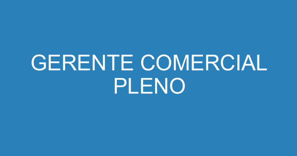 GERENTE COMERCIAL PLENO 1