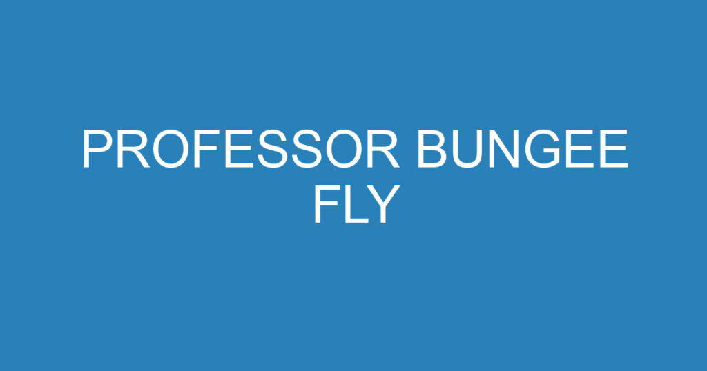 PROFESSOR BUNGEE FLY 1