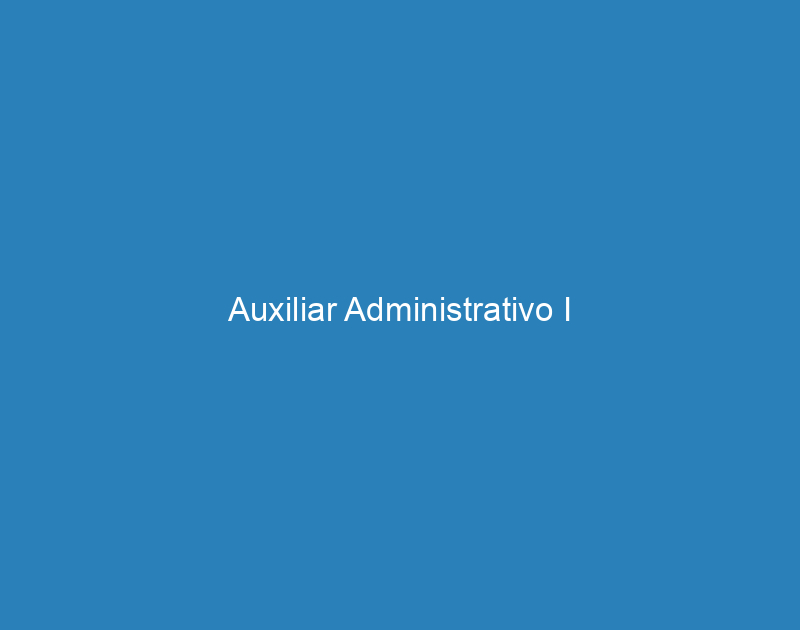 Auxiliar Administrativo I 1