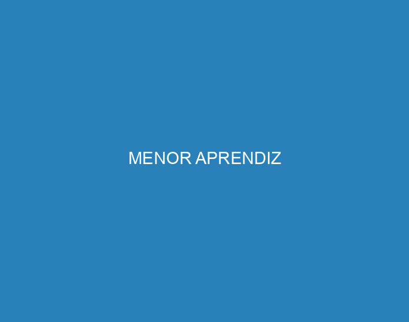 MENOR APRENDIZ 1